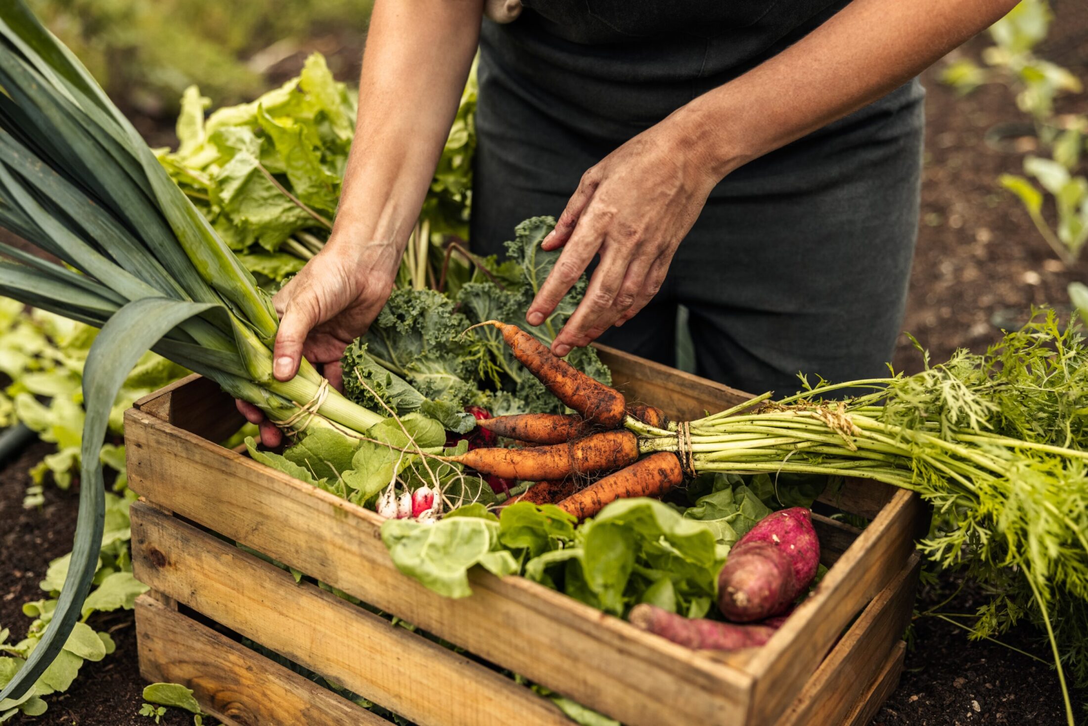 Recipes with Canadian Winter Produce