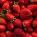 Summer Strawberry Recipes